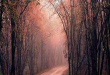 天涯论坛爆料霍建华该红不让几时是个热点！