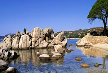 天涯论坛煮酒论史排名大揭秘，不看不知道原来历史大佬这么可怕！